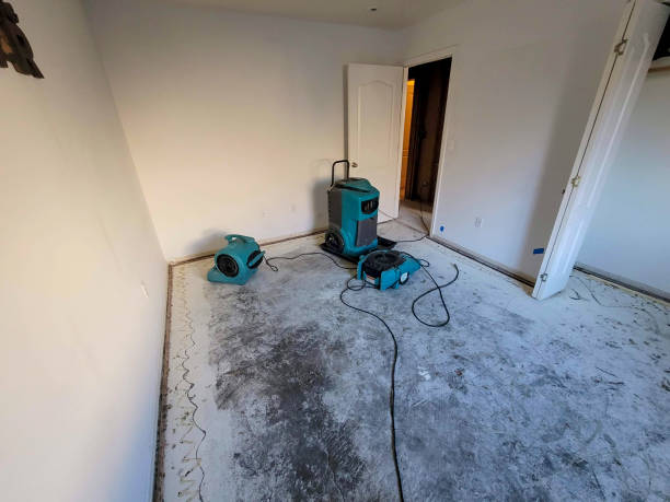 Carpet water damage restoration in Penryn, CA