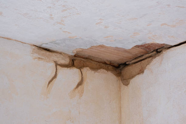 Best Mold removal after water damage  in Penryn, CA