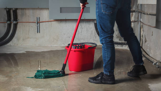 Best Sewage cleanup and water damage restoration  in Penryn, CA
