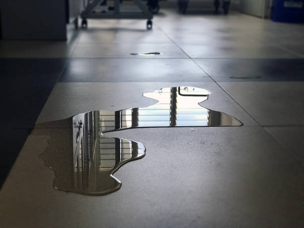 Best Water damage restoration experts  in Penryn, CA