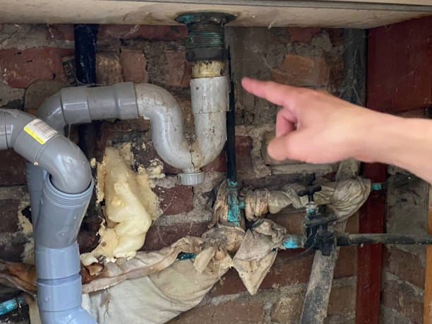 Best Professional water damage repair  in Penryn, CA