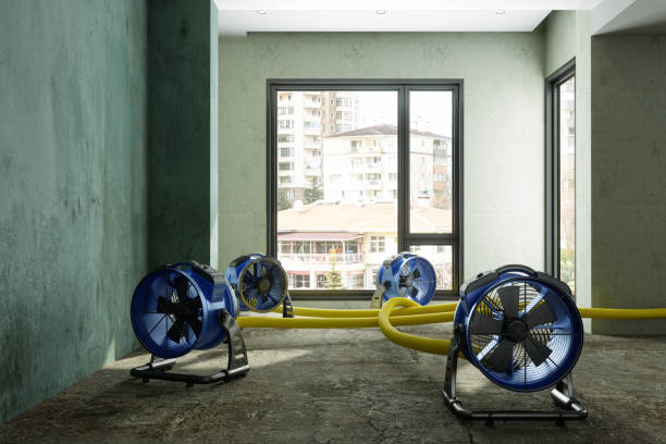  Penryn, CA Water damage restoration Pros